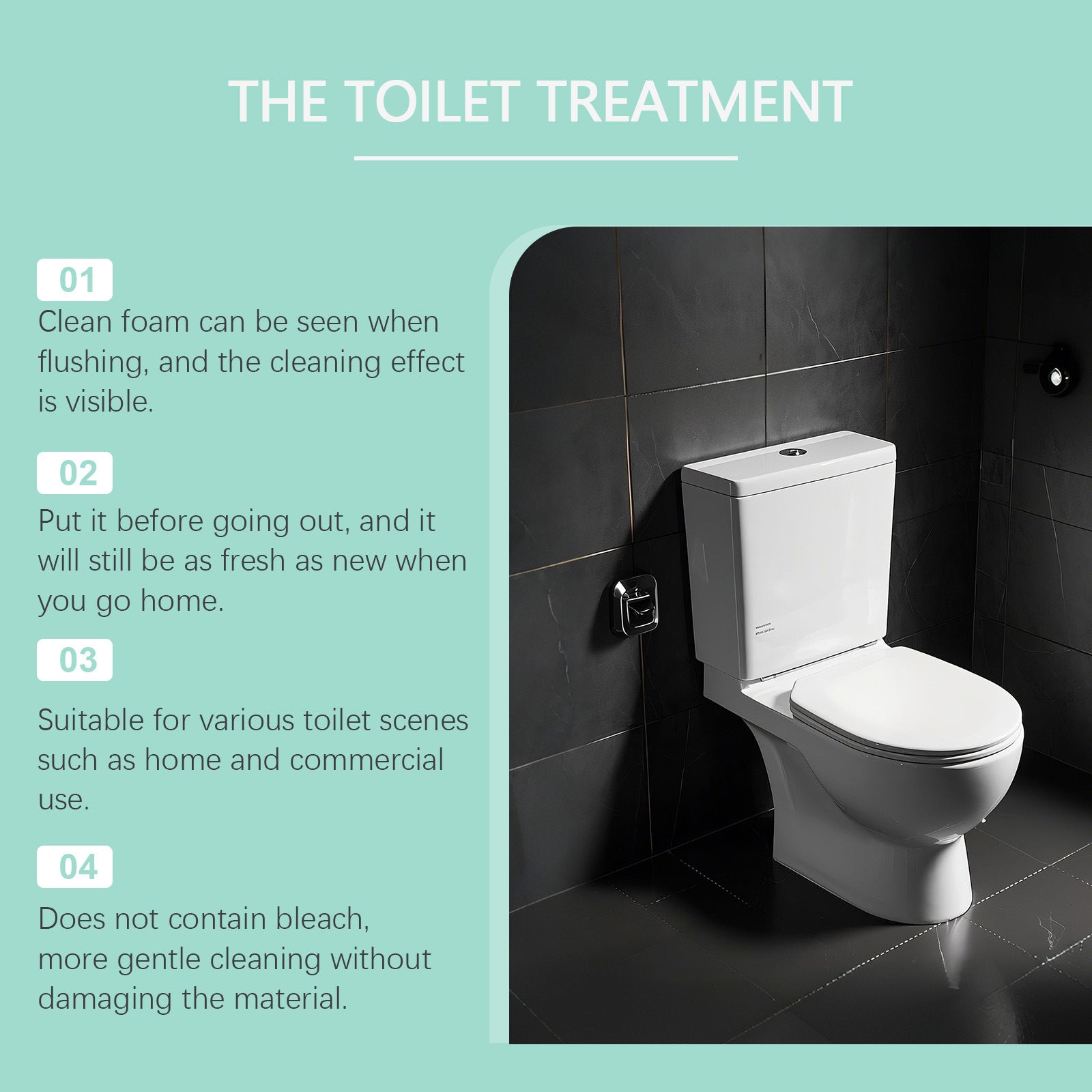 Toilet Cleaner